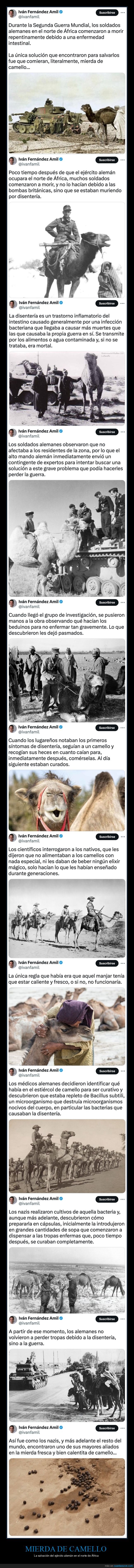 camello,caca,soldados,ii guerra mundial