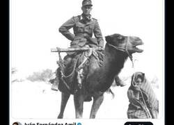 Enlace a El motivo por el que las tropas alemanas en el norte de África comieron caca de camello