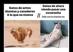 Enlace a Ya no son lo que eran...