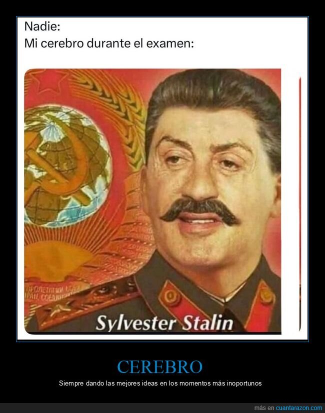 cerebro,examen,sylvester stalin,sylvester stallone,stalin