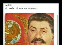 Enlace a Gracias, cerebro...