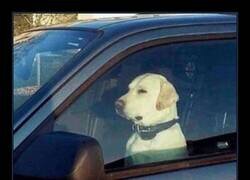 Enlace a Toca esperar a que acabe