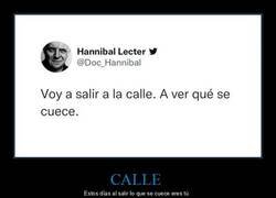 Enlace a Saliendo a la calle en agosto