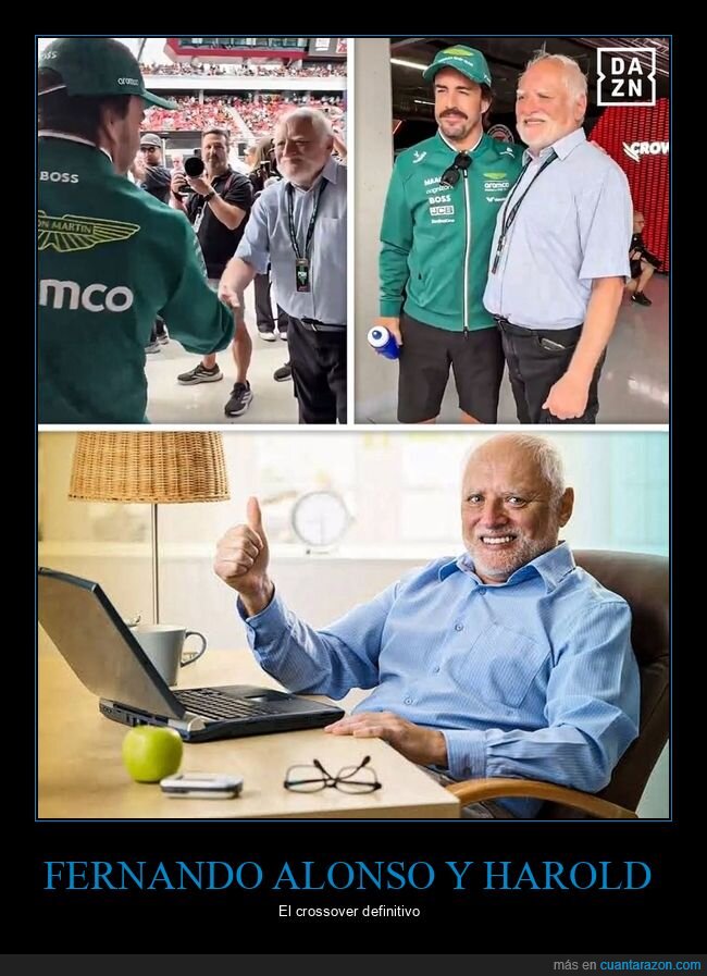 fernando alonso,harold