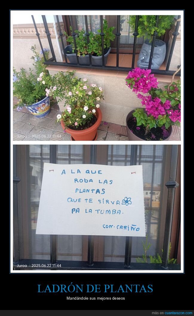 plantas,robar,carteles