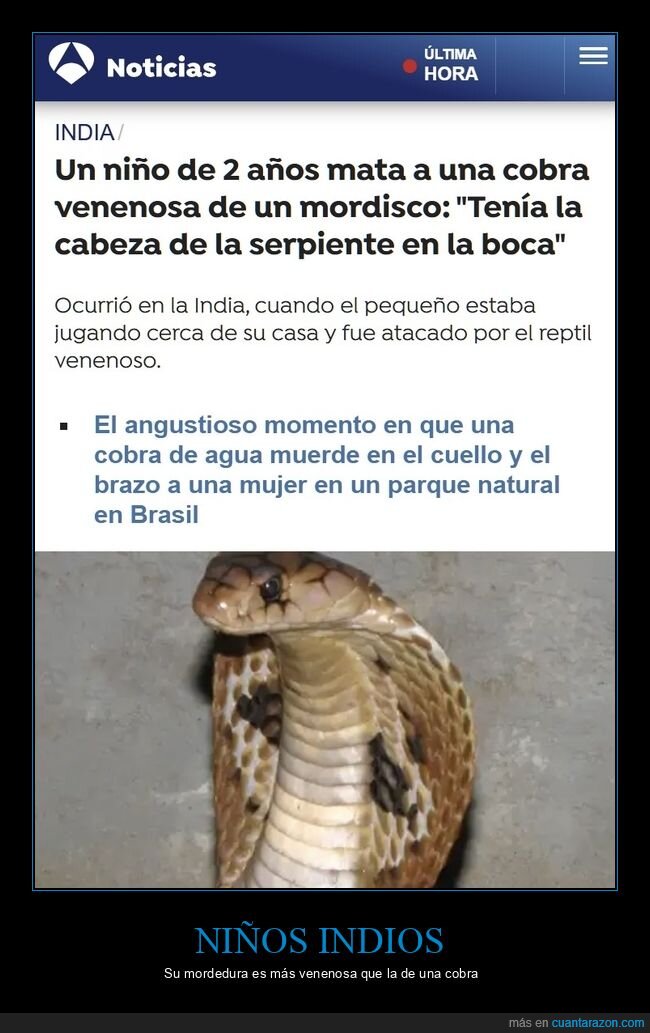 niño,indio,cobra,mordisco