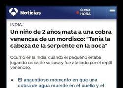 Enlace a La cobra no tenía nada que hacer...
