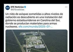 Enlace a Buen argumento para una peli