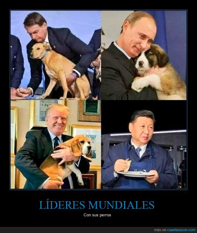 políticos,perros