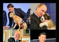 Enlace a Amantes de los animales