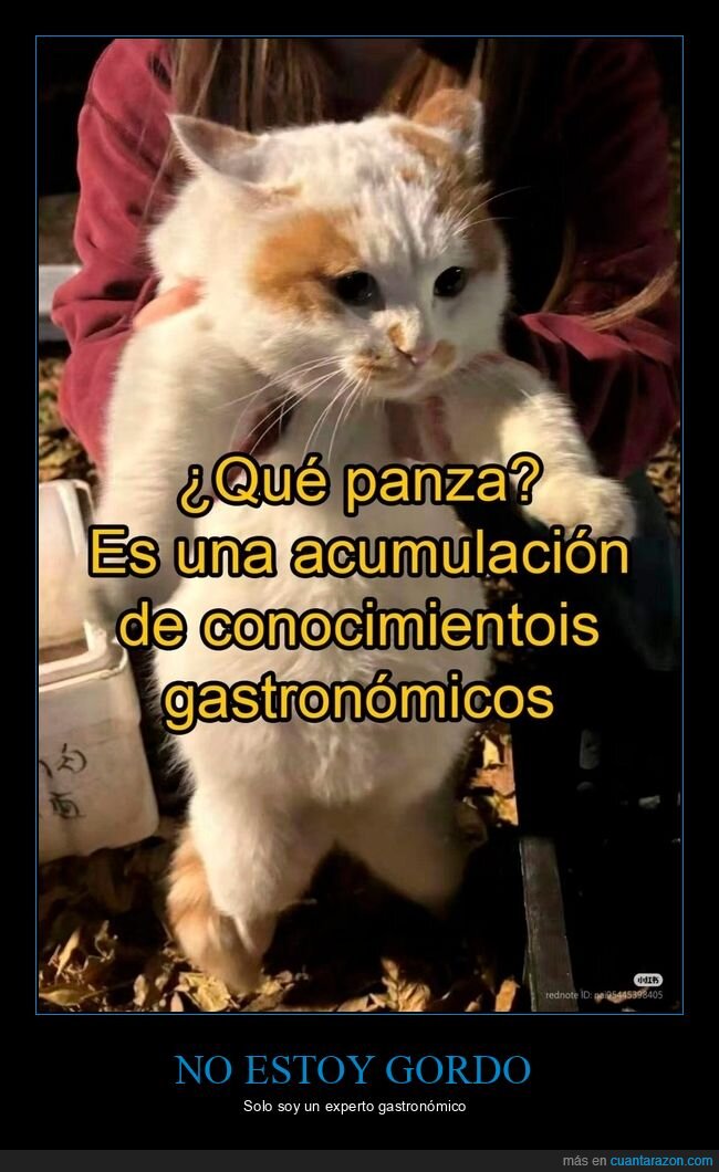 panza,conocimientos gastronómicos