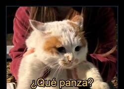 Enlace a Sabiduría acumulada