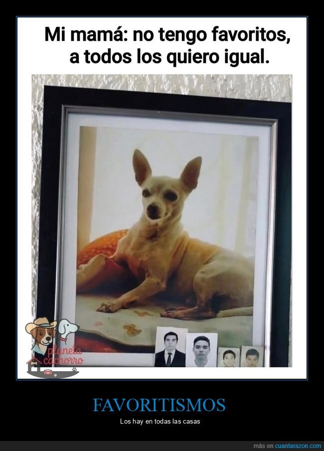 madre,favoritos,fotos,perro