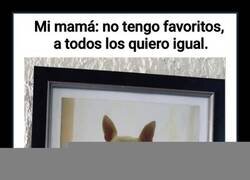 Enlace a El rey de la casa