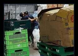 Enlace a Zombies en el almacén