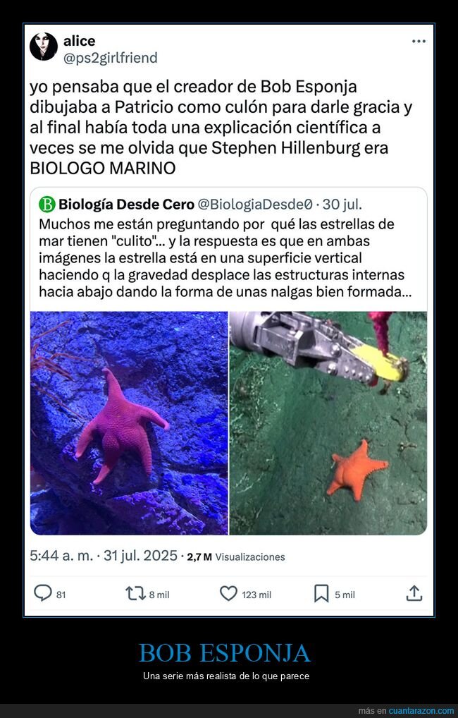 biólogo marino,bob esponja,estrellas de mar,patricio,stephen hillenburg