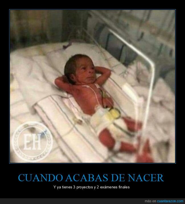 bebé,exámenes,nacer,proyectos,recién nacido