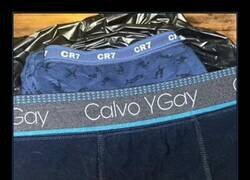 Enlace a Marca de renombre