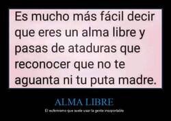 Enlace a La verdad acerca de las 