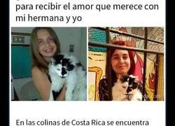 Enlace a Encantadores memes de animales para alegrarte un poco el día