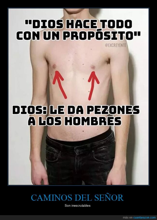 dios,hombres,pezones,propósito