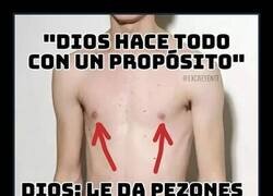 Enlace a Propósitos divinos