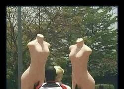 Enlace a Transporte urgente