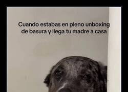 Enlace a Con las patas en la masa