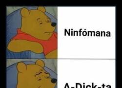 Enlace a Más elegante