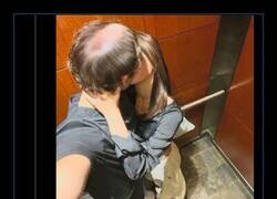 Enlace a El piojo Moisés