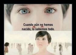 Enlace a Esto explica muchas cosas...