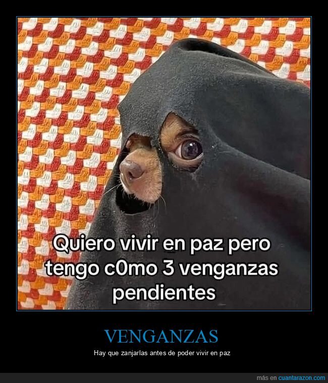 vivir en paz,venganzas
