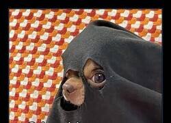 Enlace a La paz se va a tener que posponer