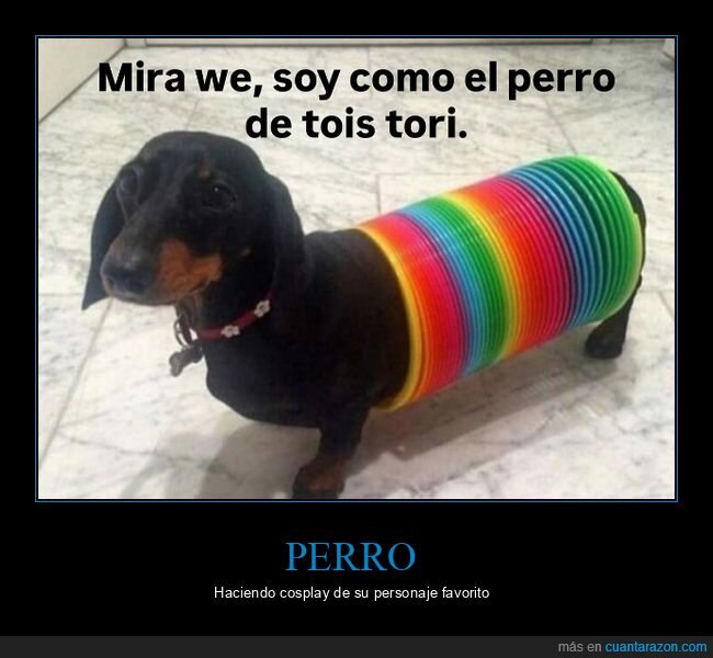 perro,toy story