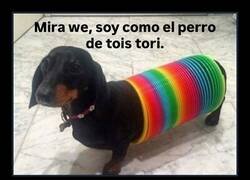 Enlace a Cosplay perruno