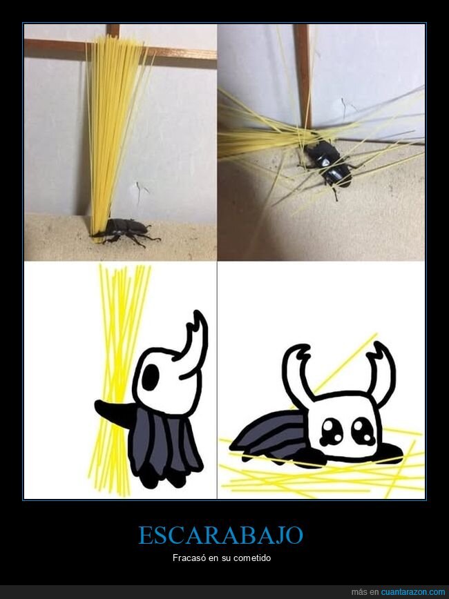 escarabajo,espagueti