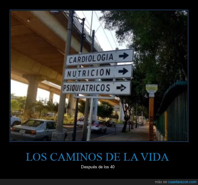 carteles,cardiología,nutrición,psiquiátricos