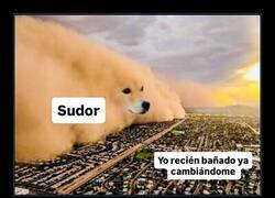 Enlace a Imposible escapar del sudor