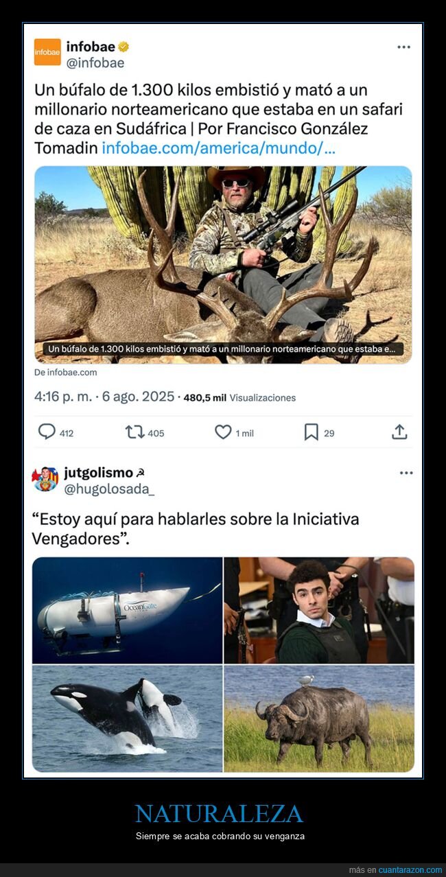 búfalo,caza,millonario,safari,sudáfrica