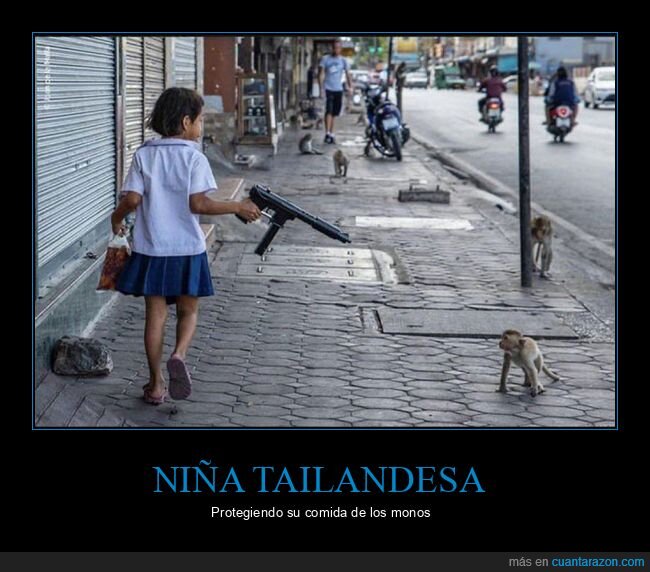 arma,monos,niña