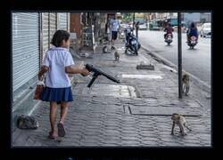 Enlace a Armada y peligrosa