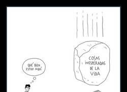 Enlace a Tranquilidad efímera