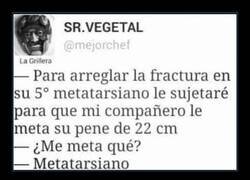 Enlace a No lo ha escuchado bien...