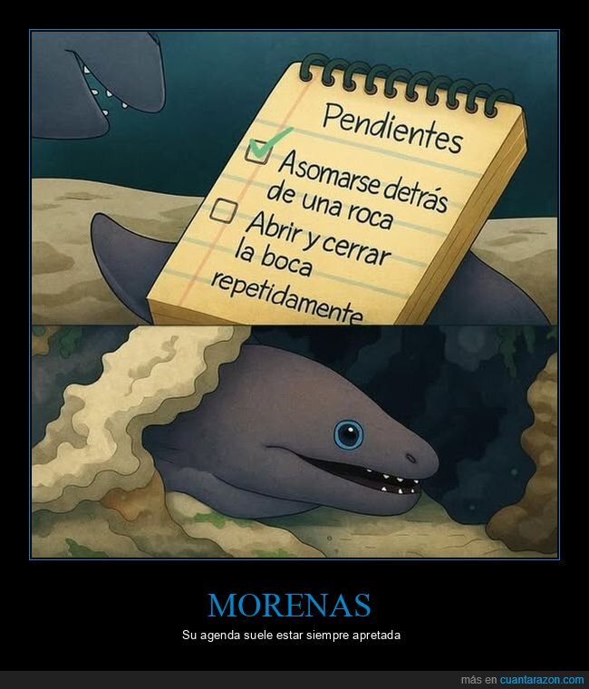 morena,asomarse,roca,boca