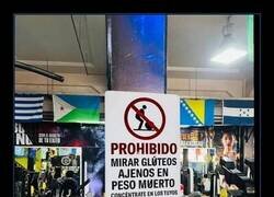 Enlace a Las normas del gym