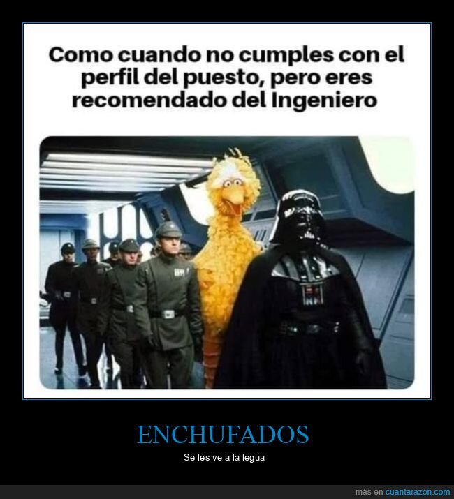 trabajo,perfil,recomendado