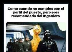 Enlace a Dando el cante