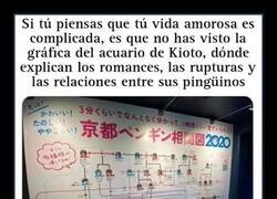 Enlace a No se aburren en el acuario...