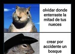 Enlace a La mala memoria de las ardillas