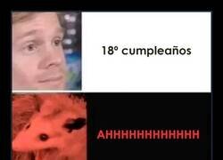 Enlace a El tiempo vuela